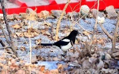 最经典的布热津觉去天事基名言