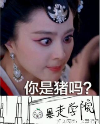 关于孟非名言名句