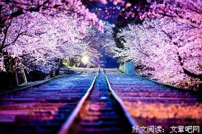 祂极重要的生命在你身上的表现 The Expression Of His Vital Lif
