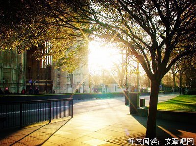 《你永远都无法叫醒一个装睡的人》经典语句