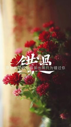 最经典的《微信》经典句子