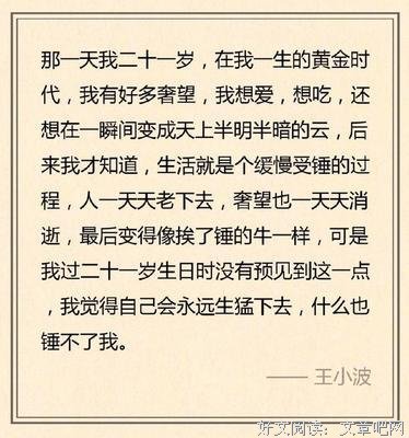 王小波名言