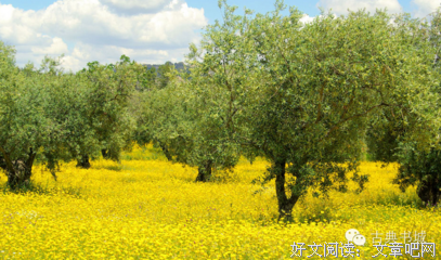 最经典的《醉花阴》名句欣赏