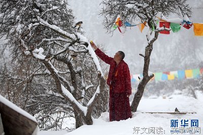 《肥鸟当自强》经典语录