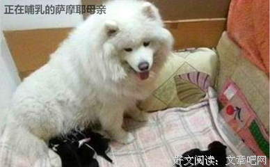 眼生风自己看的句子