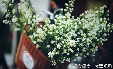关于有度的座右铭