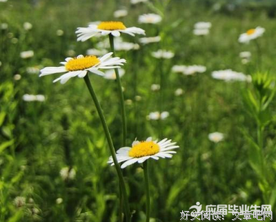 余秋雨名言