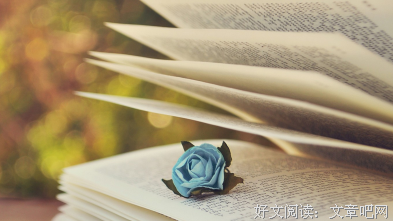关于无恶不作名言名句