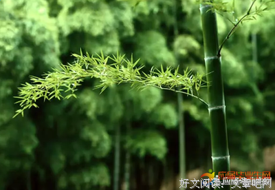 最全的朱光潜的名言名句