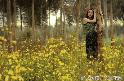 最新的《才女集》经典句子大全
