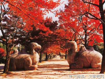 最全的《禅与摩托车维修艺术》经典名句