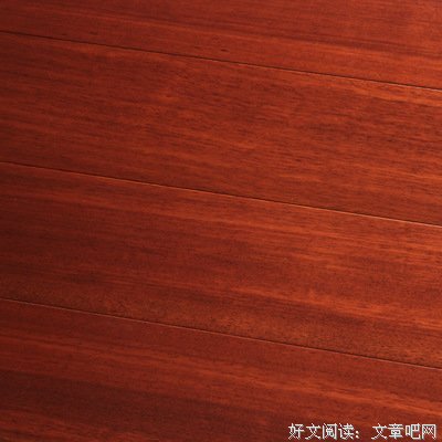 描写伯克的语句摘抄