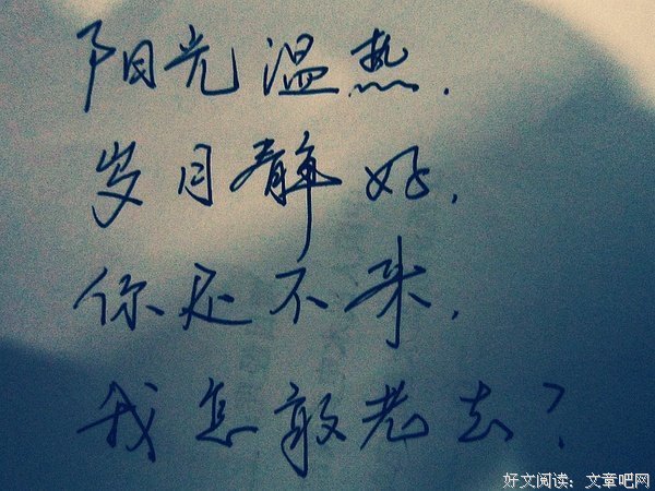 最新的《银狐》经典句子大全