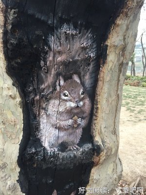 愤怒的松鼠的格言