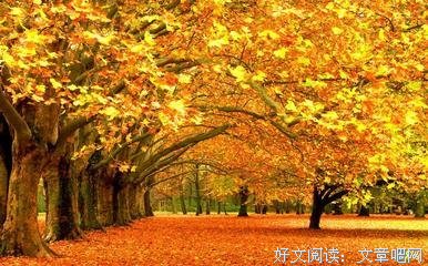 绵绵不绝的语句摘抄_关于绵绵不绝的语句