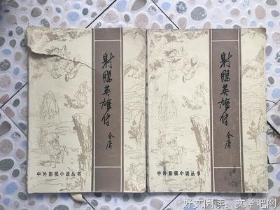 最全的《射雕英雄传》小说摘抄大全