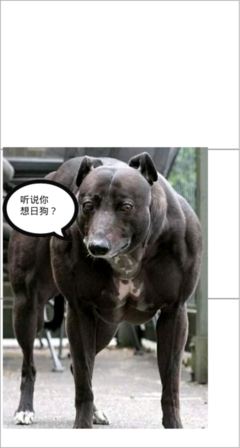云悠的名言_关于云悠的名言