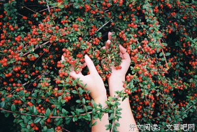 描写九夏的经典句子