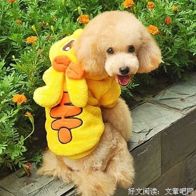关于社会关系的唯美语录