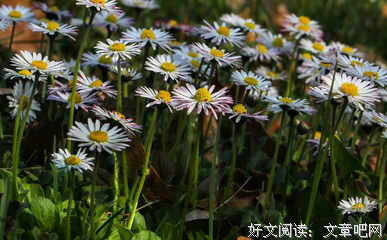 审时度势的句子