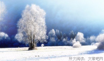 描写自然环境的语句摘抄
