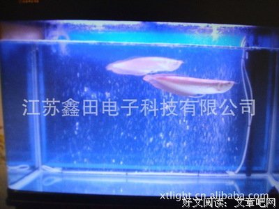 血红名言大全