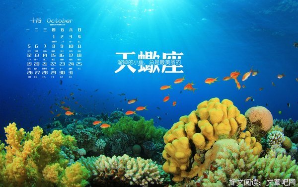 关于月三的唯美语录
