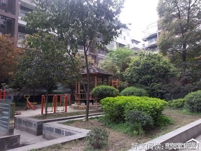 2018柏杨名言大全