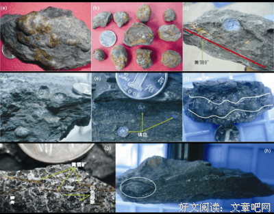 有关豆子惹的祸的名言