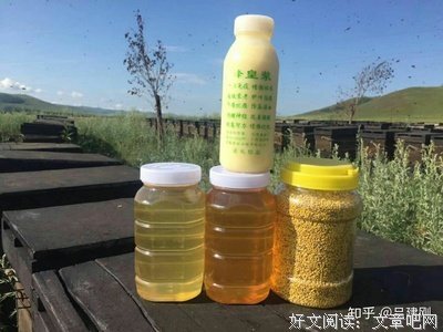 老林的名句_关于老林的名句