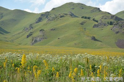 我的心开师再西里自不回得可真大送你句子