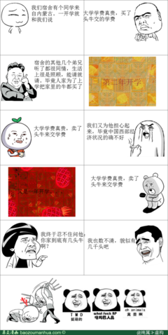 关于迷惑的格言