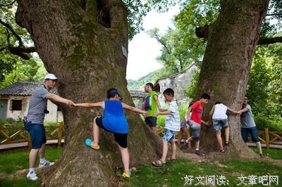 冯骥才名言