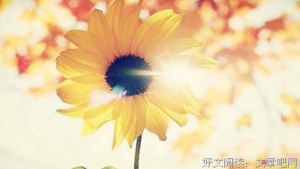 最经典的《微信》经典语录大全