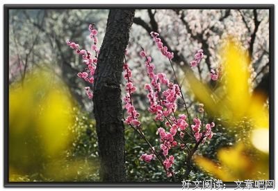 《白说》经典的句子
