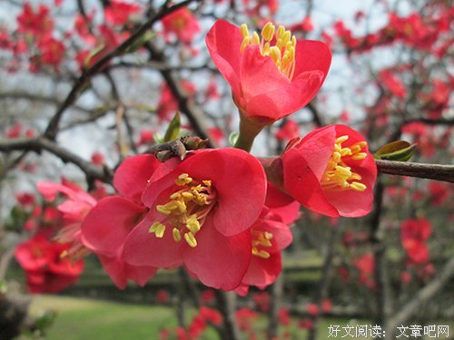 最新的《变形计》经典语录大全
