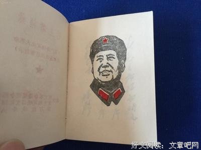 15条关于小毛的经典语句