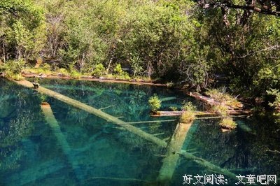 关于余秋雨名言名句