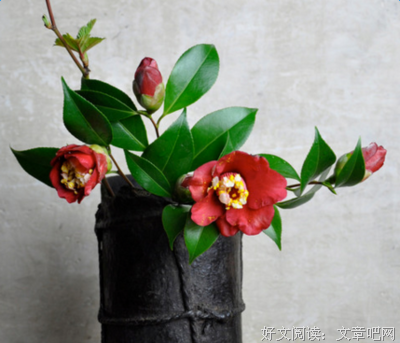 最经典的《圭恰迪尼格言集》名句欣赏