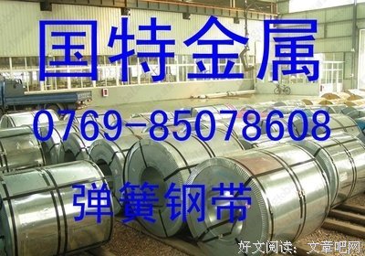 国特的句子