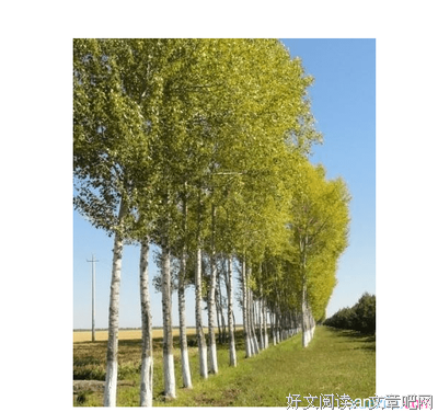 有关贪婪的美句摘抄