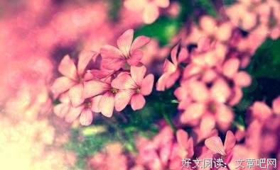 15条关于玉钩的经典语句
