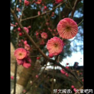 最全的周濂精彩语录