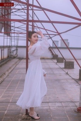 关于不知为不知的语句
