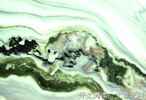 最经典的《银狐》经典句子