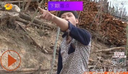 最新的《变形计》好段摘抄大全