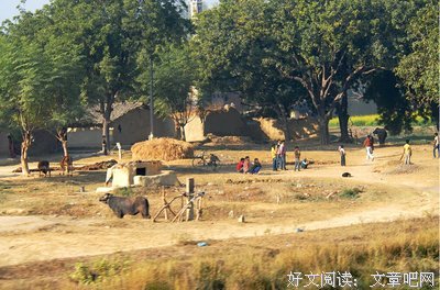 关于相宁的名言