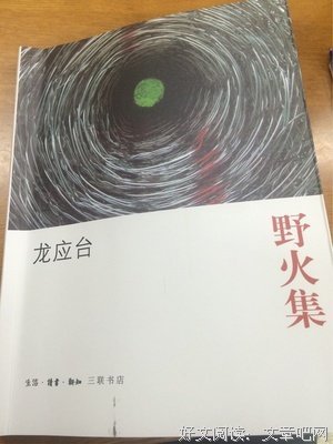 最全的《野火集》经典语句大全