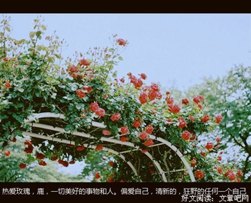 关于小建的唯美语录