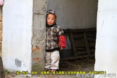 最全的《乡土中国》佳句摘抄大全